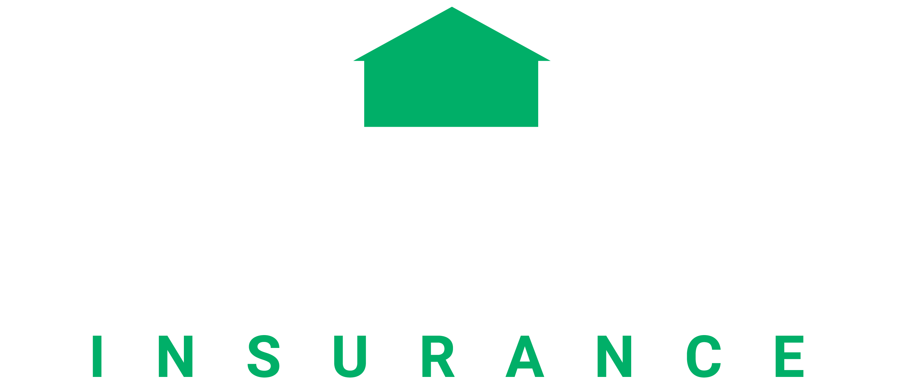 neighborhood-insurance-white